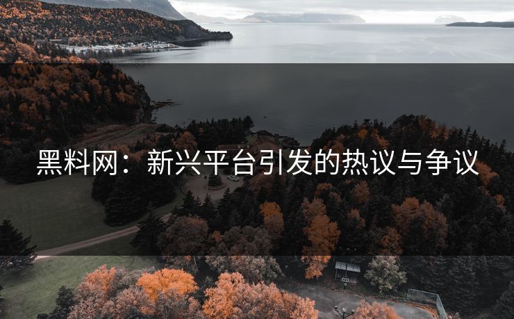 黑料网：新兴平台引发的热议与争议