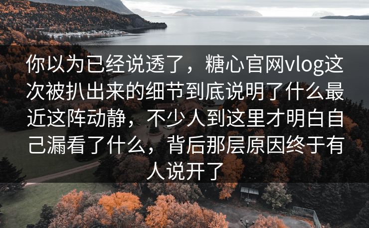 你以为已经说透了，糖心官网vlog这次被扒出来的细节到底说明了什么最近这阵动静，不少人到这里才明白自己漏看了什么，背后那层原因终于有人说开了