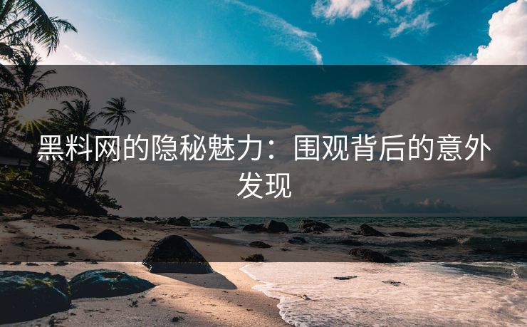 黑料网的隐秘魅力：围观背后的意外发现
