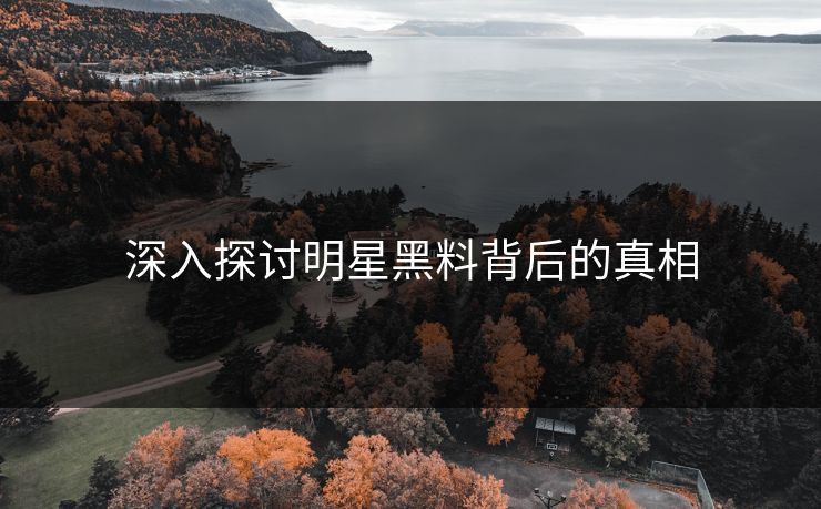 深入探讨明星黑料背后的真相