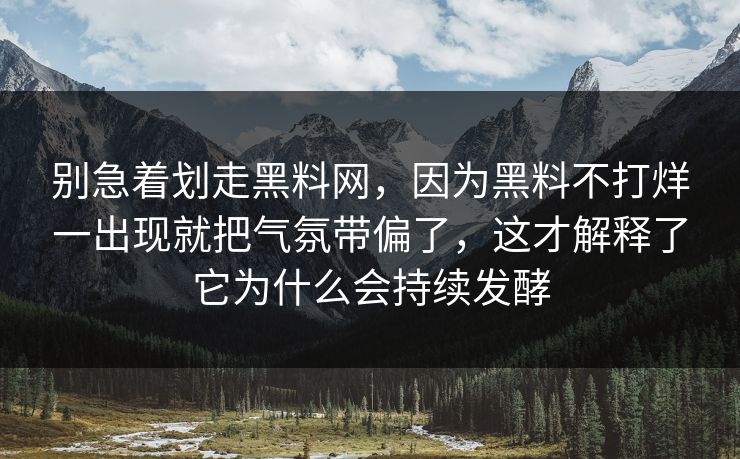 别急着划走黑料网，因为黑料不打烊一出现就把气氛带偏了，这才解释了它为什么会持续发酵