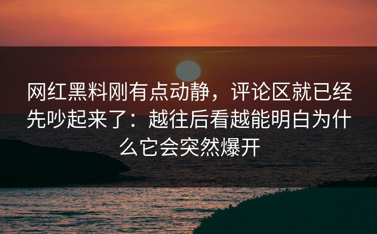 网红黑料刚有点动静，评论区就已经先吵起来了：越往后看越能明白为什么它会突然爆开  第1张